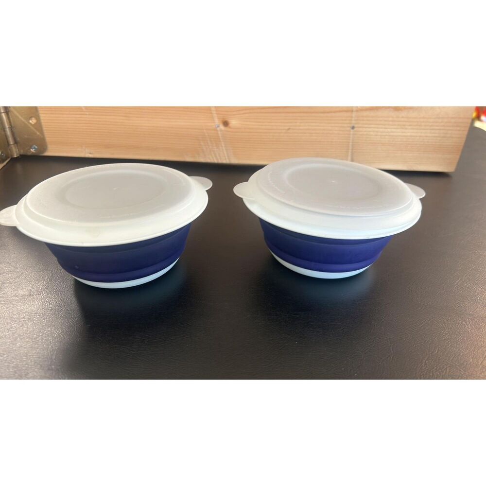 Lot of 2 Small Contains Progressive Collapsible